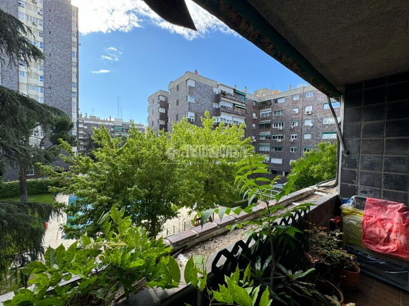 Foto f7cacb79-41e3-4432-83d6-78da9019b708. Piso  en venta en Niño Jesús Madrid