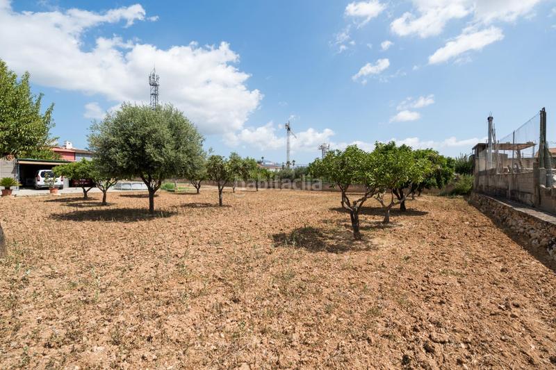 Foto 0e00cff8-8861-45d0-9f45-75cfe5166633. Planta baja  no techo libre en Establiments en Palma de Mallorca