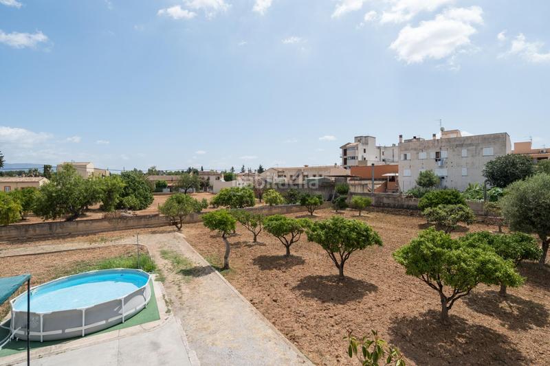 Foto 40a93850-c798-40d8-85b2-c6908fd17873. Planta baja  no techo libre en Establiments en Palma de Mallorca