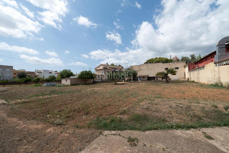 Foto dd9f5232-e3da-44ec-b63c-9c6731501310. Planta baja  no techo libre en Establiments en Palma de Mallorca