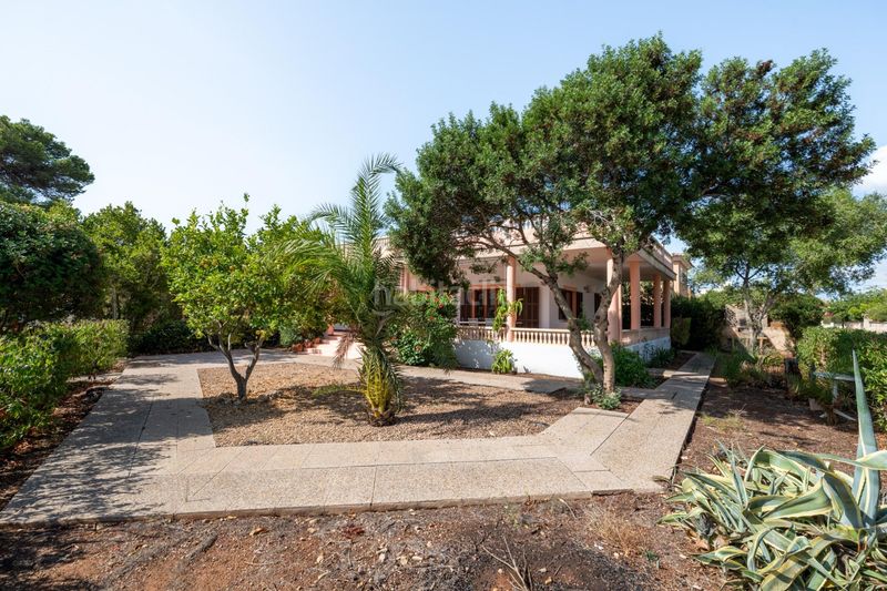 Foto dd4bc71c-0f42-4deb-96d6-ea948cace221. Xalet a Sa Ràpita - Ses Covetes Campos