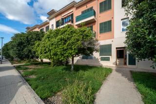 Attique à Campos. Ático en campos  solárium de 41 m y ascensor directo al parking