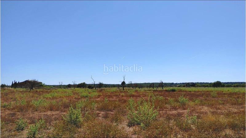 Foto 5ec0ddee-b9e1-44ef-9db2-fc3db15fdcb6. Terrain résidentiel dans Campos