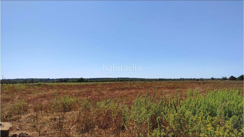 Foto 65e5f827-2b6d-41ba-8301-b4834dfc95f1. Terrain résidentiel dans Campos