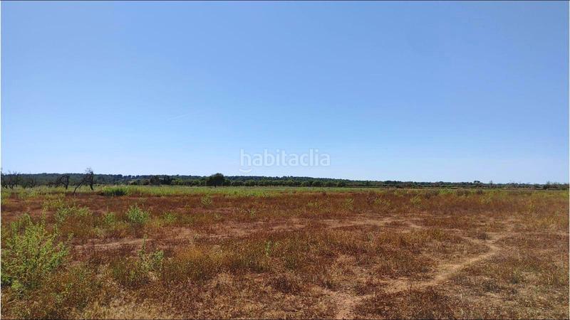 Foto a469c2b3-b48c-40ef-8f3d-994640ce6abf. Terrain résidentiel dans Campos