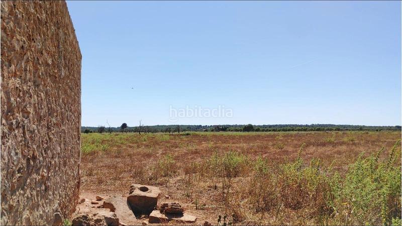 Foto d469976f-04df-439a-81c9-0021f3df7c75. Terrain résidentiel dans Campos