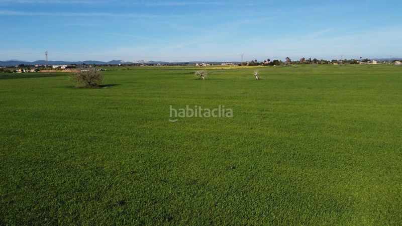 Foto d3e2274d-5172-45be-9a1d-da35910c773e. Finca rústica a Zona Rústica - Interior Campos
