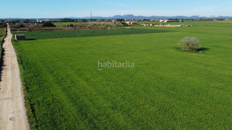 Foto db7ccae0-0d1e-4ddb-9096-7d7ec9cd8a82. Finca rústica a Zona Rústica - Interior Campos