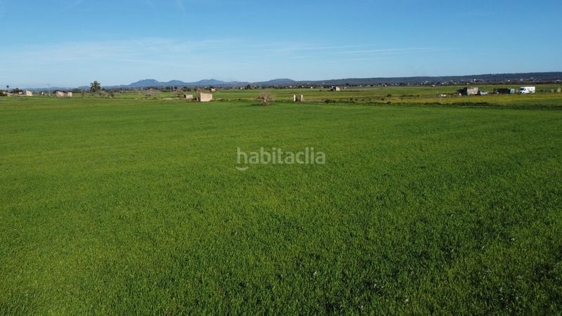 Foto f7043bc1-5f85-41b5-9aea-72b8950c2b00. Finca rústica a Zona Rústica - Interior Campos