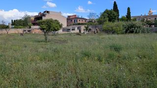 Wohngrundstück in Algaida. Terreno ubicado en algaida