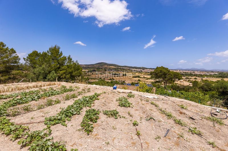 Foto 02999742-c181-4d0a-9520-72f944b47973. Casa amb aparcament piscina a Sant Joan