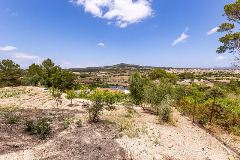 Foto 3c81180f-99b6-4111-8cb9-c01811756820. Casa amb aparcament piscina a Sant Joan