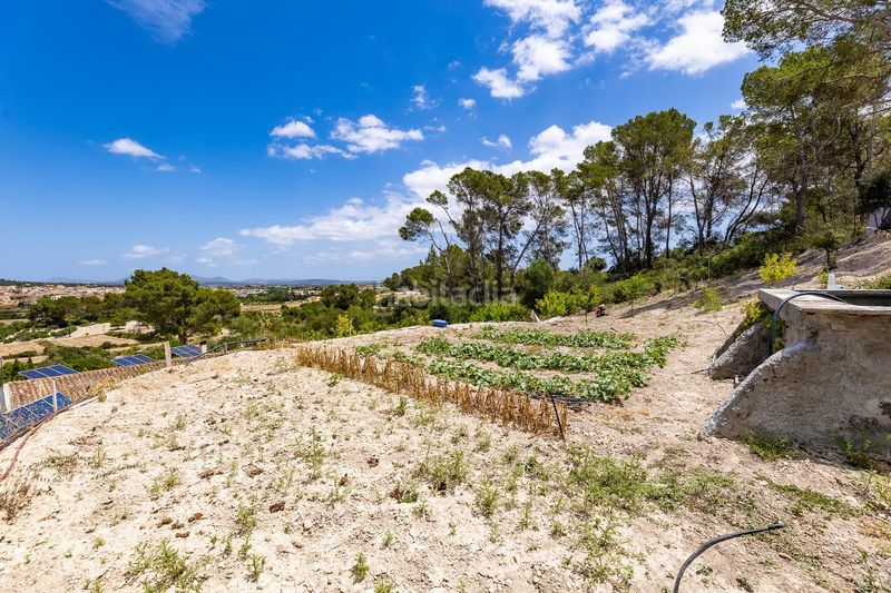 Foto 782114ab-48a3-4031-a1b0-39ced7930c6d. Casa amb aparcament piscina a Sant Joan