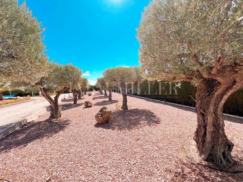 Foto 44cd1638-9436-4cb4-8cff-d943615d545d. Casa amb calefacció aparcament piscina a Yecla