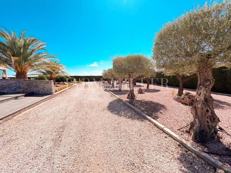 Foto 4fd8b0b8-ea83-4a30-8ce5-9709086abbab. Casa amb calefacció aparcament piscina a Yecla