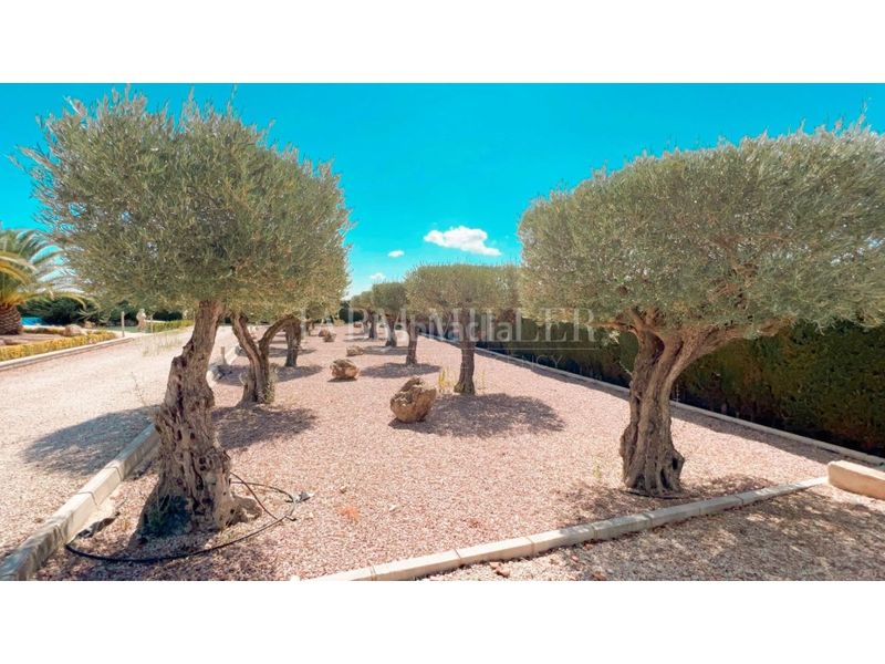 Foto d18b42de-c115-498d-bc87-76c07a15b0b0. Casa amb calefacció aparcament piscina a Yecla