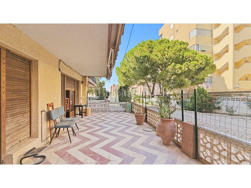 Foto 488bf03d-6be7-40ed-998b-3976dbb8671b. Planta baixa a Los Arenales del Sol Elche / Elx