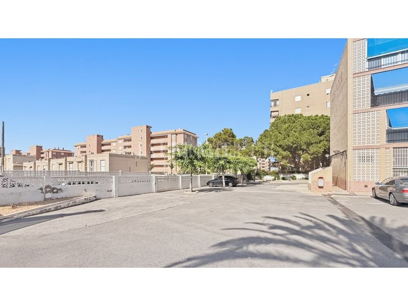 Foto 76c428fa-d076-4fe2-9e78-54c505f4c174. Planta baixa a Los Arenales del Sol Elche / Elx