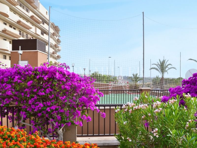 Foto 055b8242-407a-4d3a-a2aa-2f2223d0015d. Pis amb aparcament a Los Arenales del Sol Elche / Elx