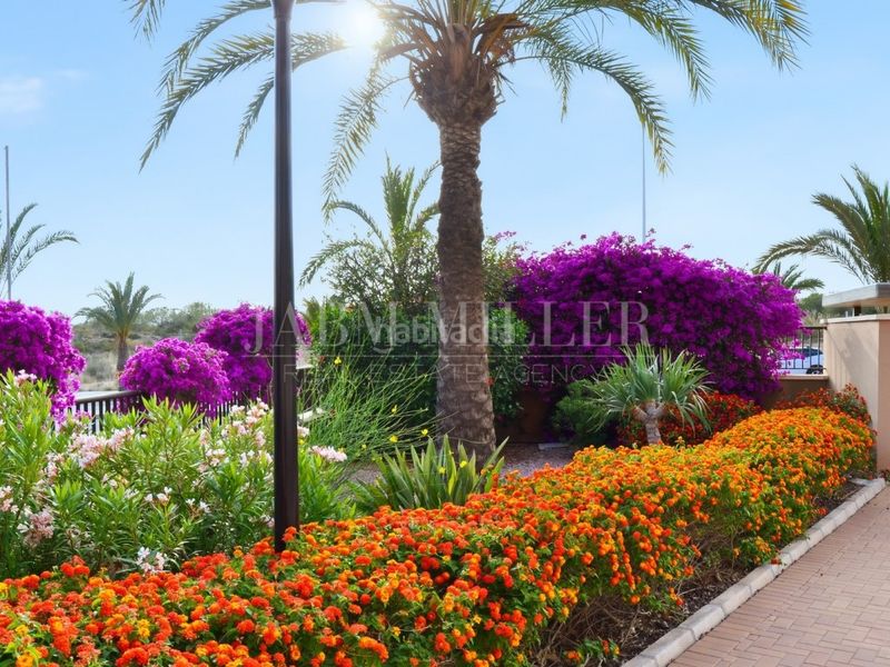Foto cd58ae3e-a365-4b1e-9f1d-b24db5c3246f. Pis amb aparcament a Los Arenales del Sol Elche / Elx