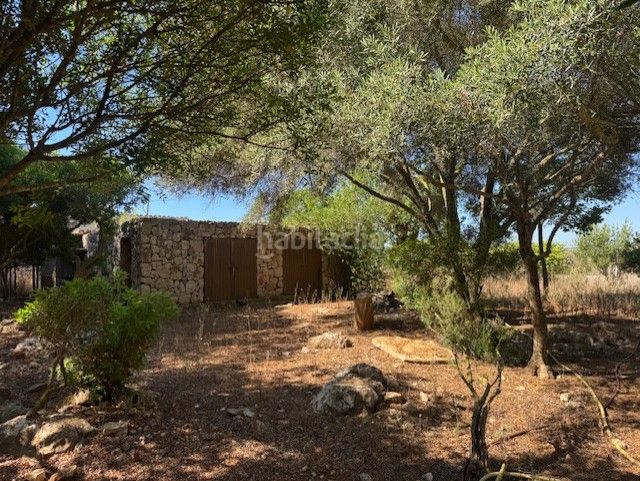 Foto 0777e06d-e1de-4989-ab87-4dfc8b18fd74. Masia amb aparcament a Manacor centre Manacor