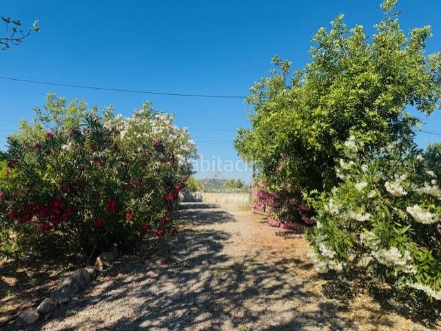 Foto 4369c65e-42f0-42b4-83a3-c48a8b003821. Masia amb aparcament a Manacor centre Manacor