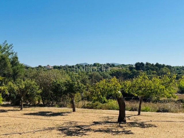 Foto 50f76f4e-4bb0-418c-841f-09c0a8efbb55. Masia amb aparcament a Manacor centre Manacor