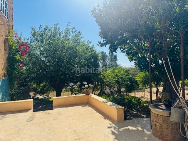 Foto 732cc459-10a6-42d7-ae1d-3cef5b21ba4d. Masia amb aparcament a Manacor centre Manacor