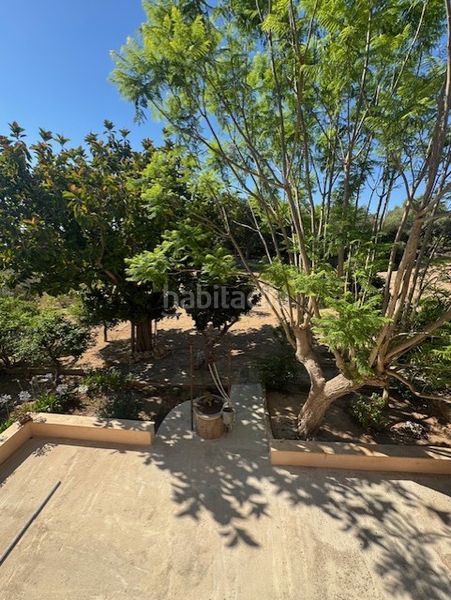 Foto 74200f4b-41b2-49a2-aa29-24537f25b880. Masia amb aparcament a Manacor centre Manacor