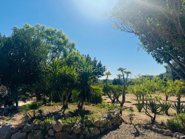 Foto 8d8d668f-4a9c-4aa7-9b19-20180fef4d8b. Masia amb aparcament a Manacor centre Manacor