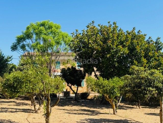 Foto abbb50a0-0266-4b69-9e54-7461d6504804. Masia amb aparcament a Manacor centre Manacor