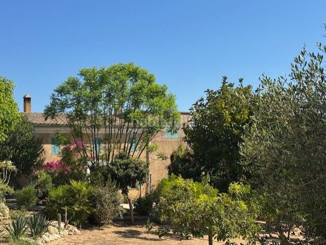 Foto c937fc65-0a3b-4a9e-8923-1cea333b6b52. Masia amb aparcament a Manacor centre Manacor