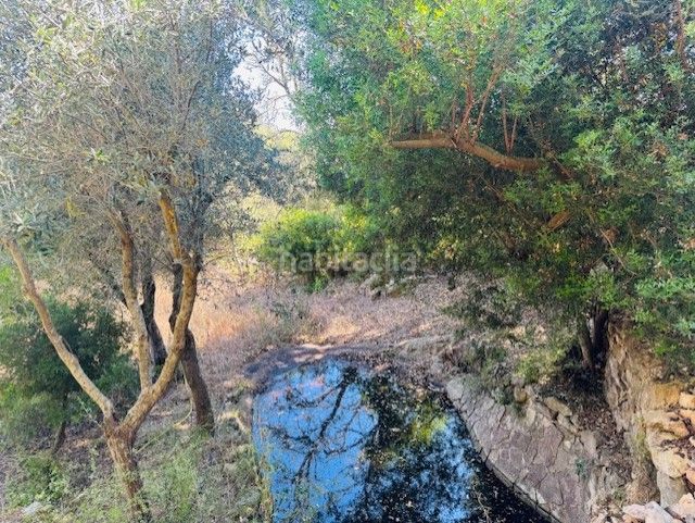 Foto ebd2795b-2c31-4fd3-ae6b-65462623e46b. Masia amb aparcament a Manacor centre Manacor