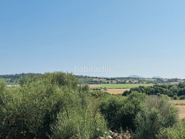 Foto 4aafcfe2-6626-4225-a1da-d174b7bc06f1. Masia amb aparcament piscina a Manacor centre Manacor