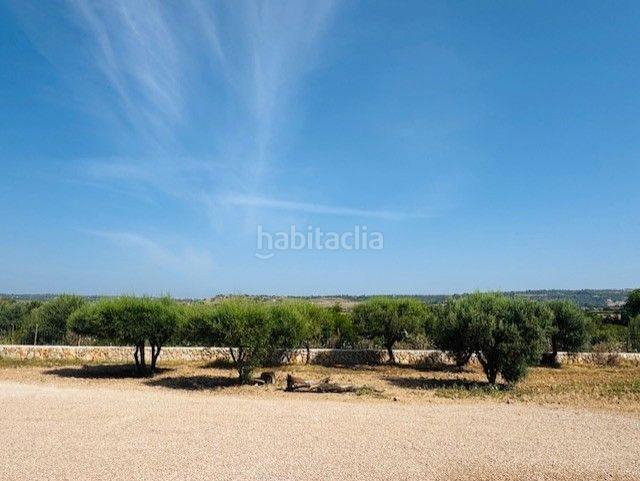 Foto d93724c6-c78e-489b-b391-1f267b001b84. Masia amb aparcament piscina a Manacor centre Manacor