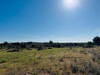 Propriété à S´Illot-Cala Morlanda. Terreno en venta en las afueras de porto cristo - ideal para tu