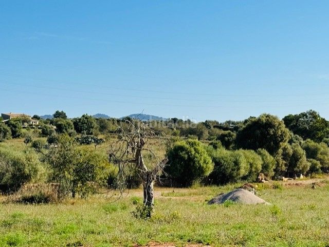 Foto bcb43fd9-71d4-4d8a-819f-a1602b8fd96b. Finca rústica a S´Illot-Cala Morlanda Manacor