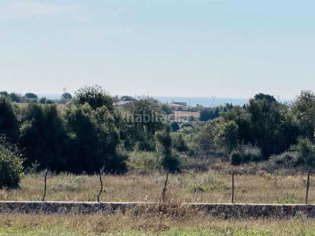 Foto e1f8f10d-df2d-449d-834d-201b32dc42ee. Finca rústica a S´Illot-Cala Morlanda Manacor