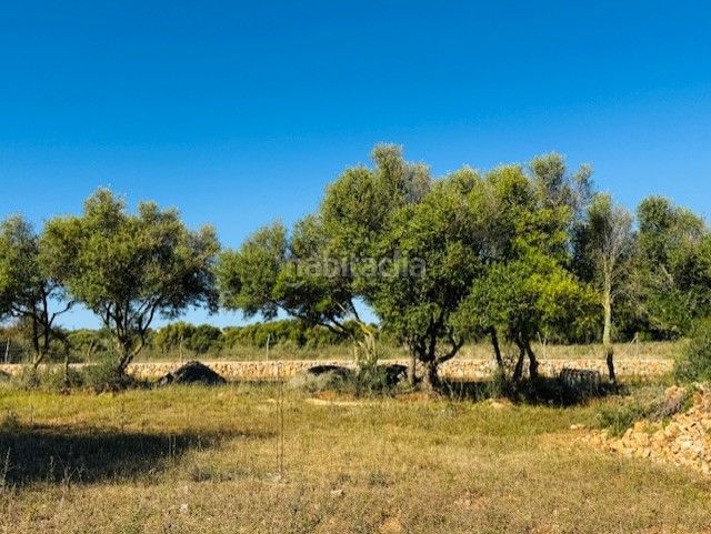 Foto f916d21a-5e95-415c-bfaa-713ced0e4e1a. Finca rústica a S´Illot-Cala Morlanda Manacor