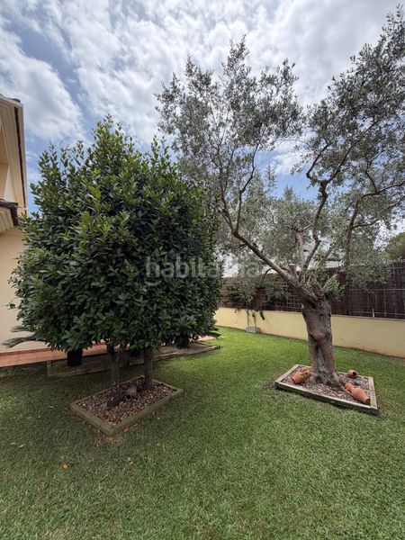 Foto a28b0848-a9d3-46c3-bb46-83fa8ced6a7c. Xalet amb aparcament piscina a Can Picafort Santa Margalida