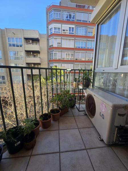 Foto 779b2c66-db41-41e2-972b-739481785b50. Pis a Arxiduc Palma de Mallorca