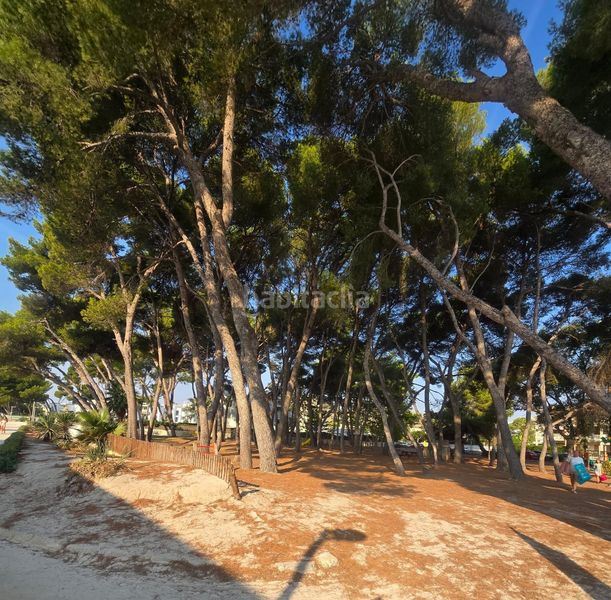 Foto c0c302c0-14bd-41df-98b7-4c2de5255f09. Dúplex amb calefacció aparcament a port d´Alcúdia-platja dálcúdia Alcúdia