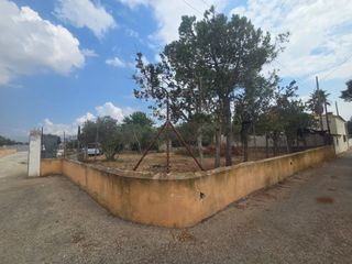 Fondo rustico in Sa Indioteria Urbà. Solar no urbanizable cami de buñola 140 sa indioteria