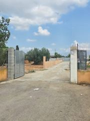 Rural plot in Sa Indioteria Urbà. Solar no urbanizable cami de buñola 140 sa indioteria