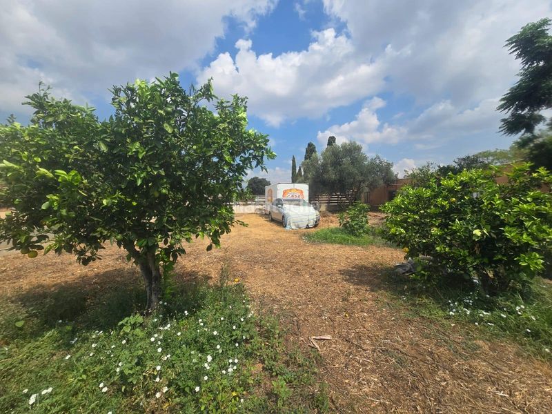 Foto b46a1aa3-a33a-43ec-8032-ae6cb4c9dd05. Finca rústica a Sa Indioteria Urbà Palma de Mallorca