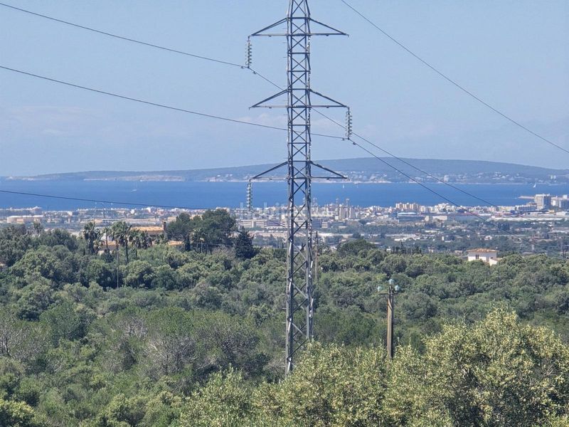 Foto aed4f66f-2846-4f9d-96c9-5e978cc885e1. Masia amb aparcament a Sa Cabaneta Marratxí
