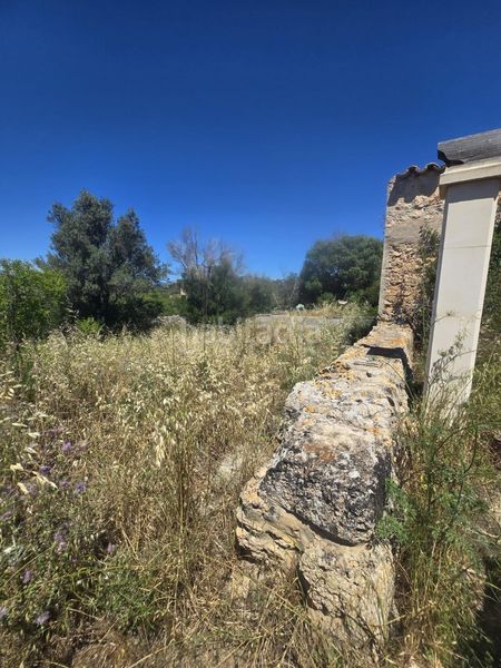 Foto d2e7ddf5-d2c4-49a6-be3e-6c8d6e7c9298. Masia amb aparcament a Sa Cabaneta Marratxí