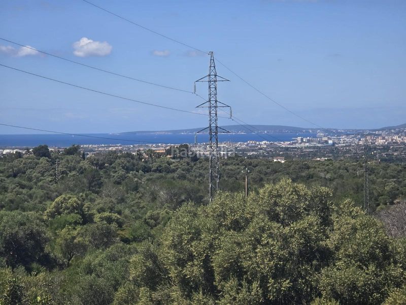Foto 2a3f2f43-dbc7-49c4-be37-d0e74f6dd0b4. Masia amb aparcament a Sa Cabaneta Marratxí