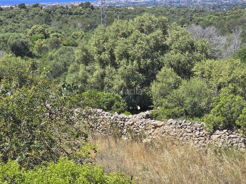 Foto 3dfe27e9-f7bf-4414-b7ce-6609f32aca60. Masia amb aparcament a Sa Cabaneta Marratxí