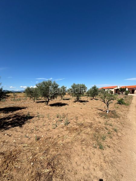Foto a7156d76-b9c8-469c-95f5-fea1aaa67039. Casa a pilon de poveda a Cuerva